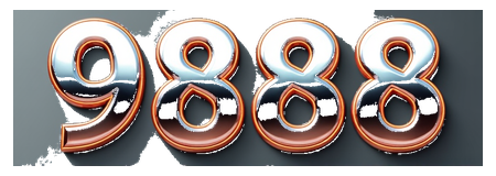 9888 logo